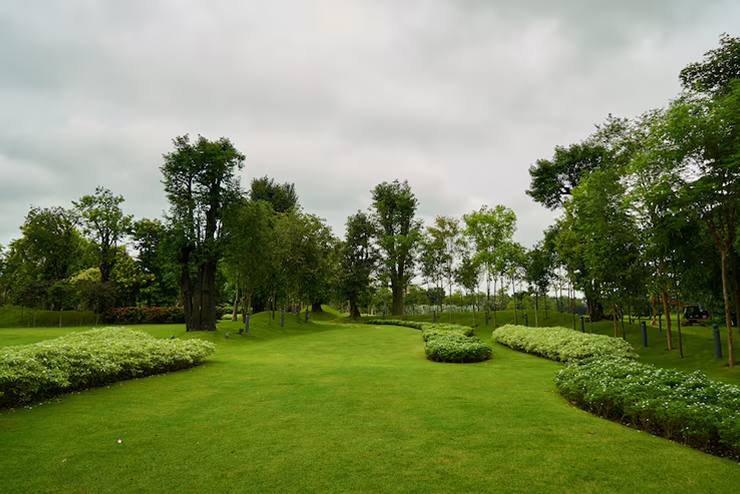 Landscape