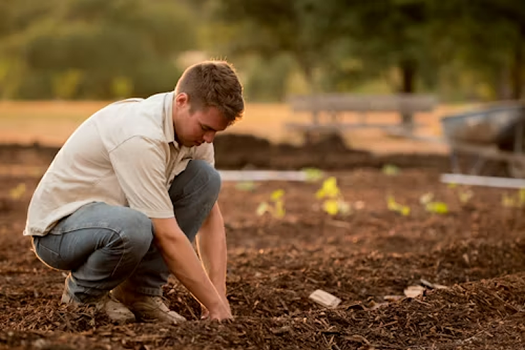 Excavation and Grading
