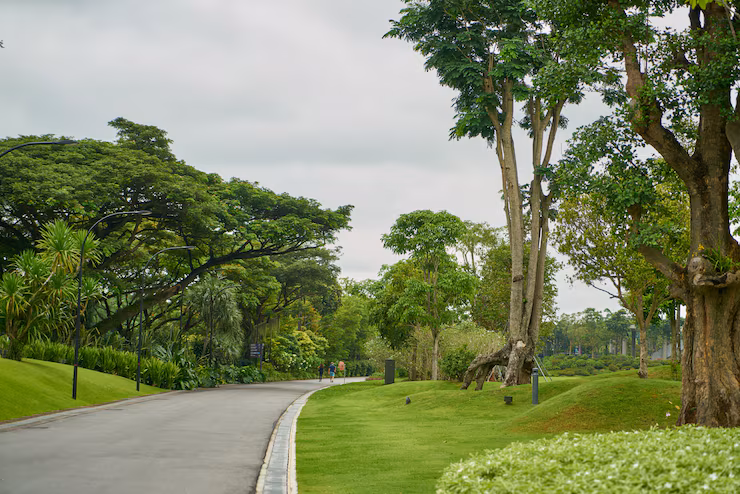 Landscape